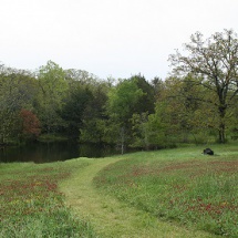 Pond#1-Disc2_site