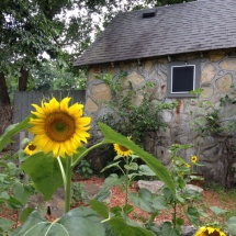 outside